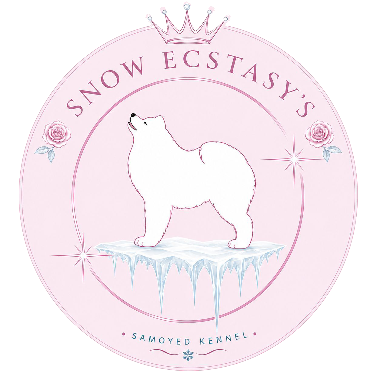 Snow Ecstasy's