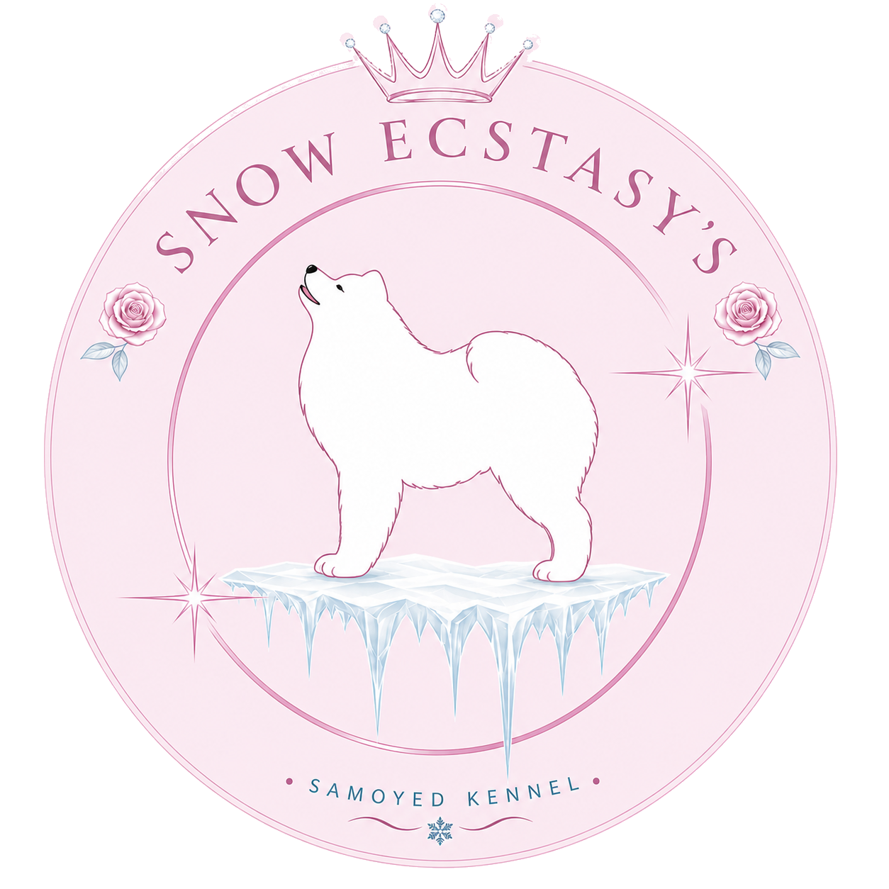 Snow Ecstasy's
